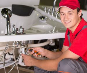About Plumbers Pros Rives Junction, MI